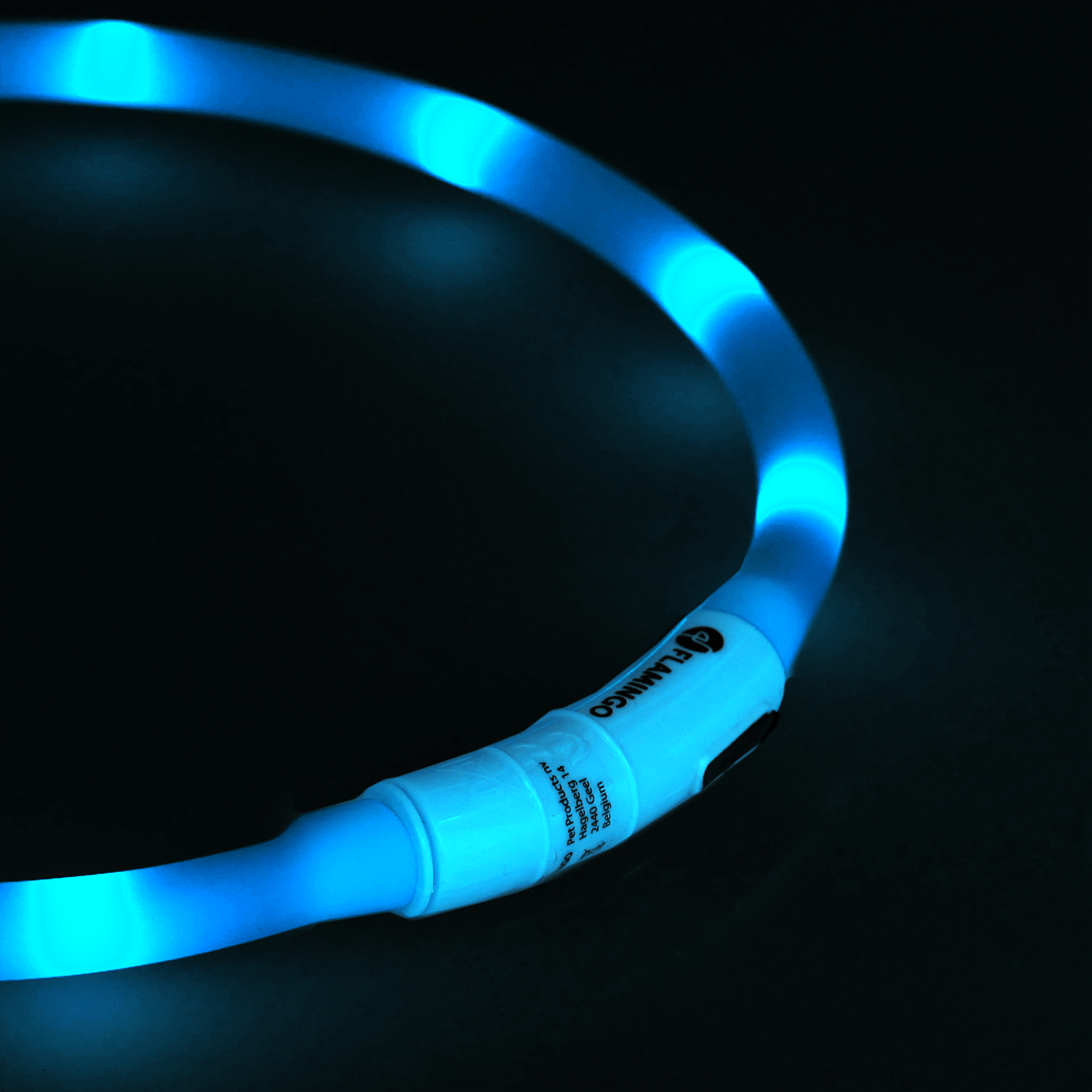 Obroża led dla psa Flamingo Nera niebieska - obrazek 2