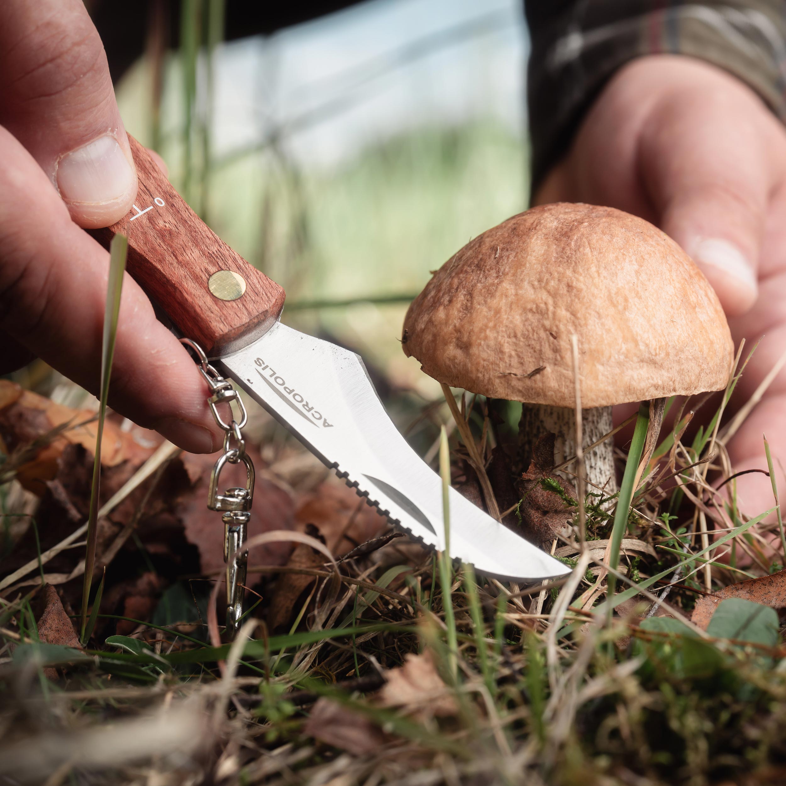 Nóż na grzyby Acropolis NG-3 z pochewką - obrazek 8