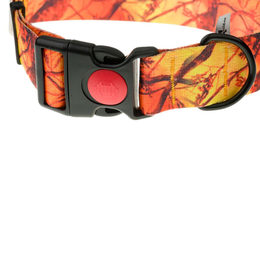 Obroża z taśmy 4wild 40 mm 39-61 cm pomarańczowy kamuflaż - obrazek 2