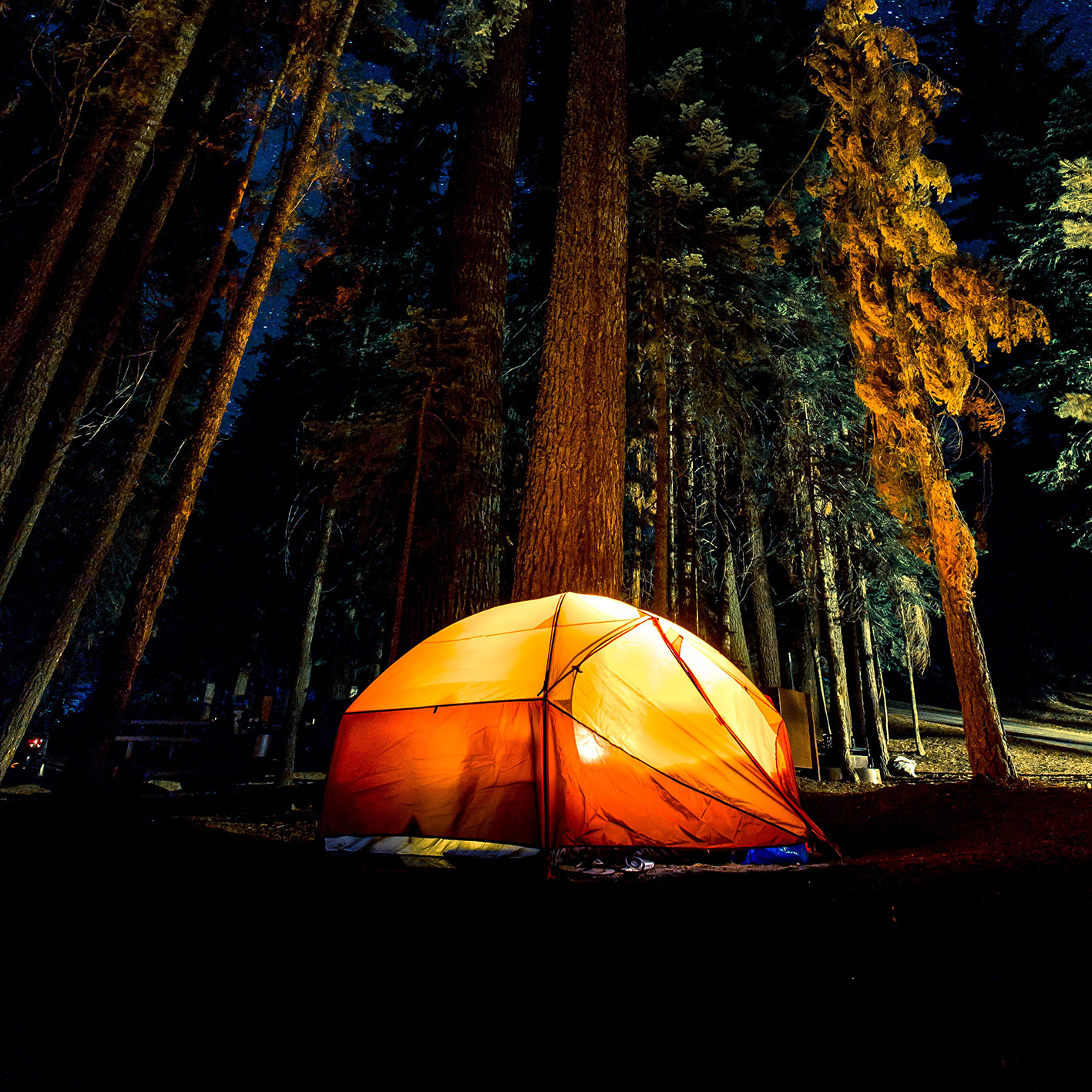 Latarka LED Fenix E-STAR - obrazek 3