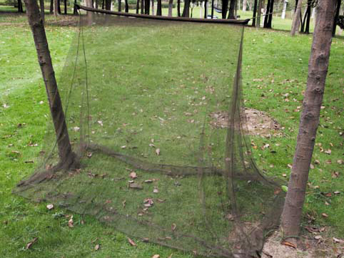 Moskitiera campingowa MFH - oliv (2x1,5x1 m) - obrazek 3