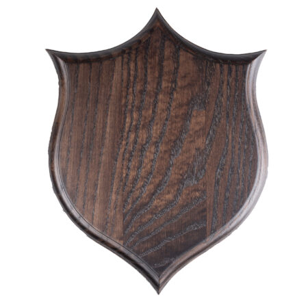 Deska pod trofeum myśliwskie - Dzik, kły dzika