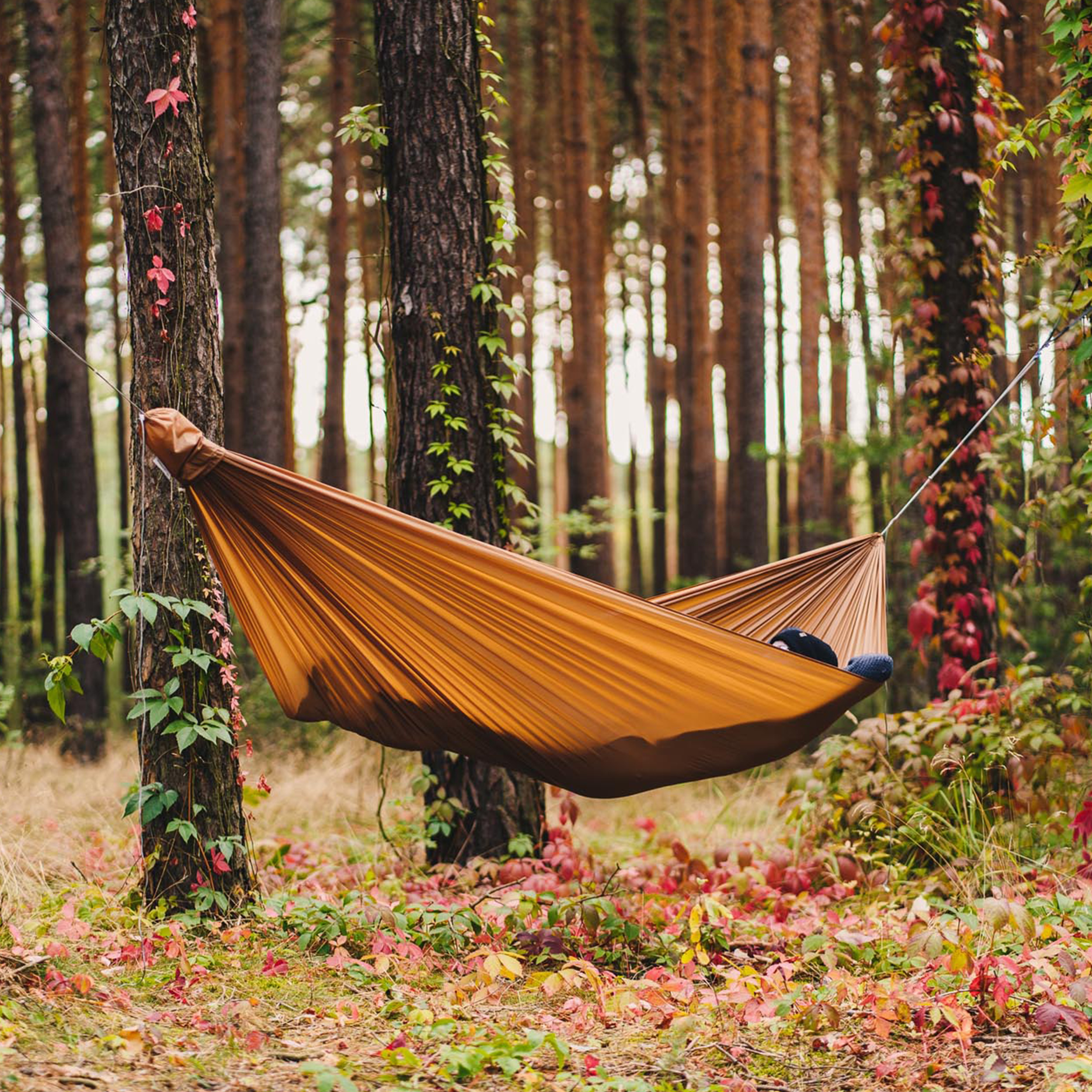 Hamak Lesovik Bystry golden brown - obrazek 2