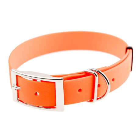Obroża wodoodporna 4wild 25 mm 38-52 cm pomarańczowa