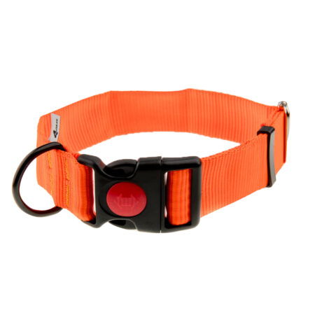 Obroża z taśmy 4wild 40 mm 39-61 cm neonowa pomarańcza