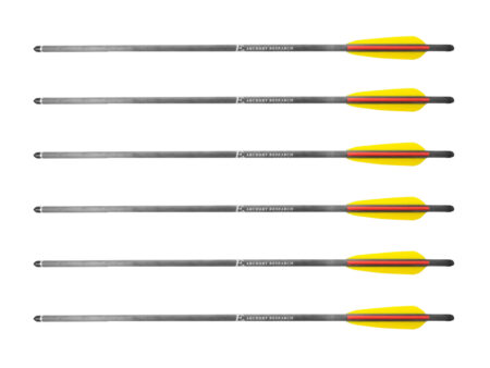 Bełt Poe Lang EK z włókna węglowego 8,8 mm 22" 6 szt.