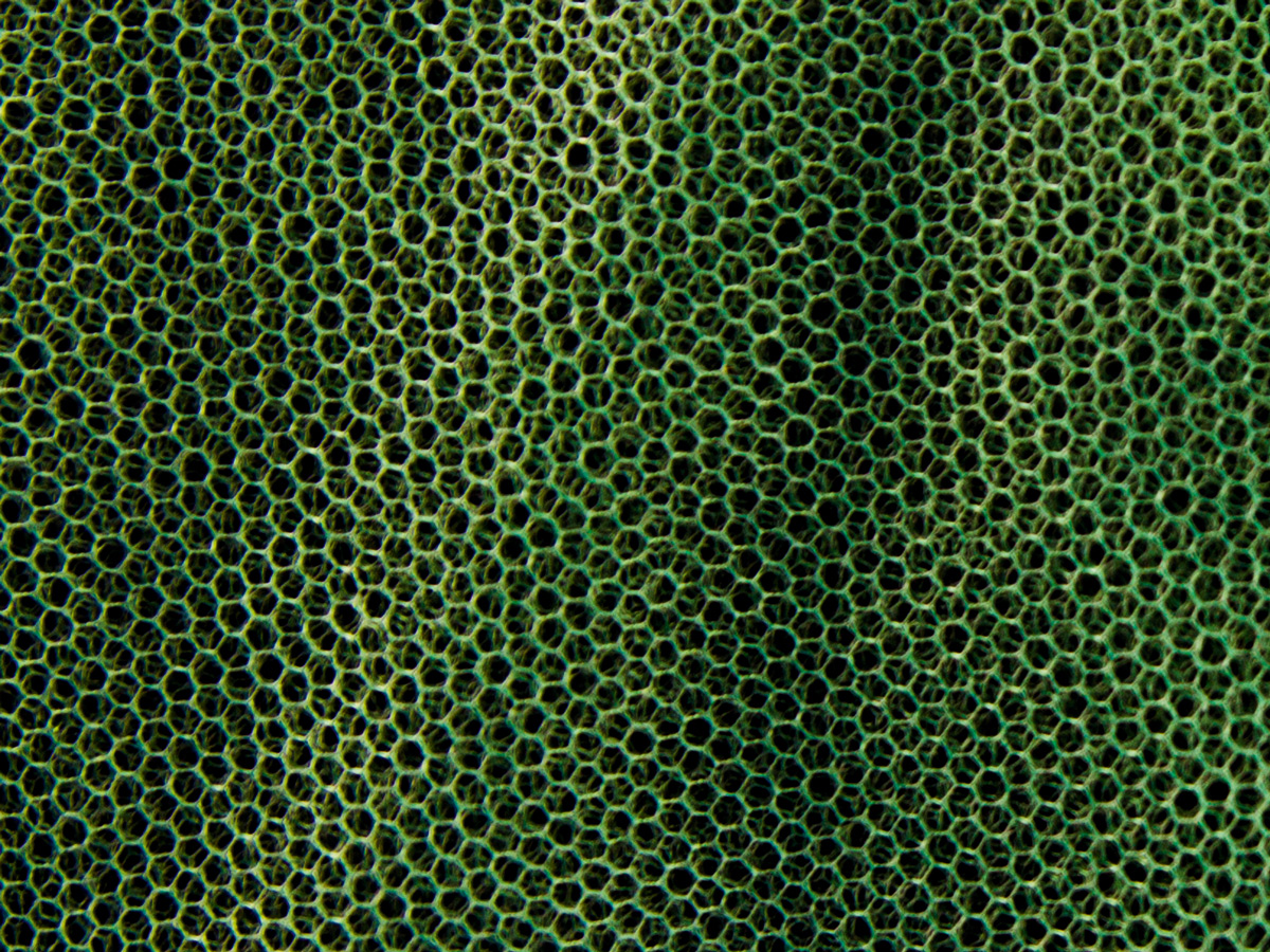 Moskitiera MFH - duża oliwkowa (0,63x2,5x12,5 m) - obrazek 2