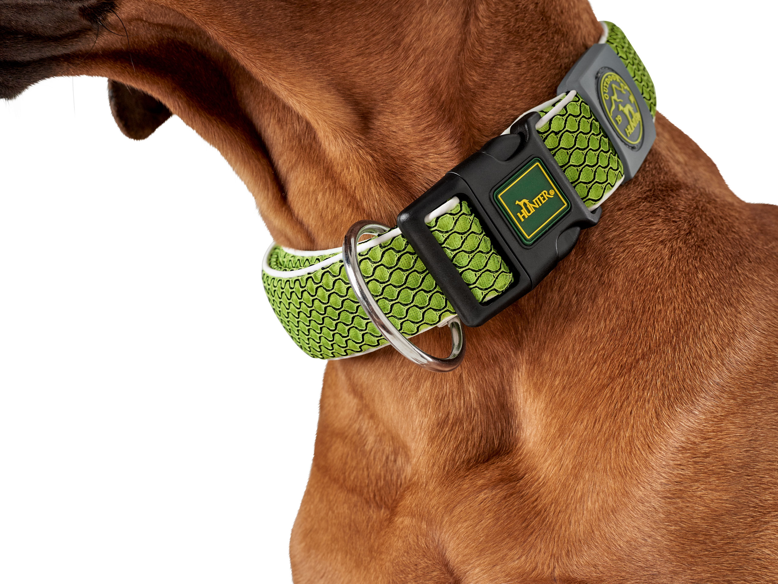 Obroża Hunter Hilo Vario Basic M limonkowa - obrazek 2