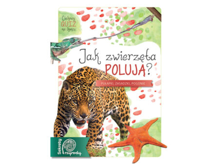 Książka „Jak zwierzęta polują? Sekrety przyrody" Michał Brodacki