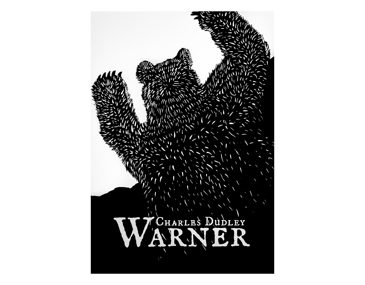 Książka „W dziczy. Miastowego trapera przypadki” Charles Dudley Warner