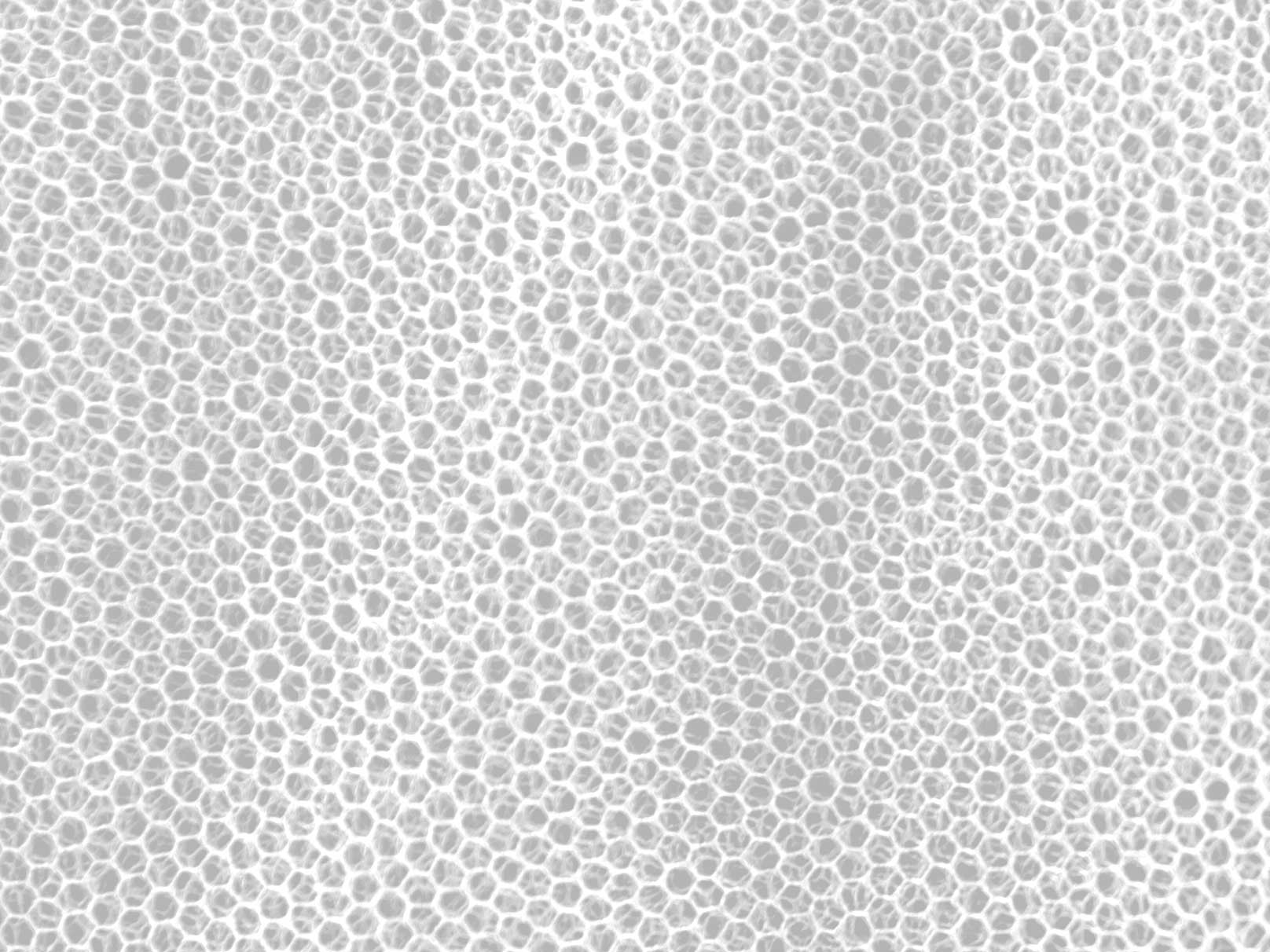 Moskitiera MFH - duża biała (0,63x2,5x12,5 m) - obrazek 3