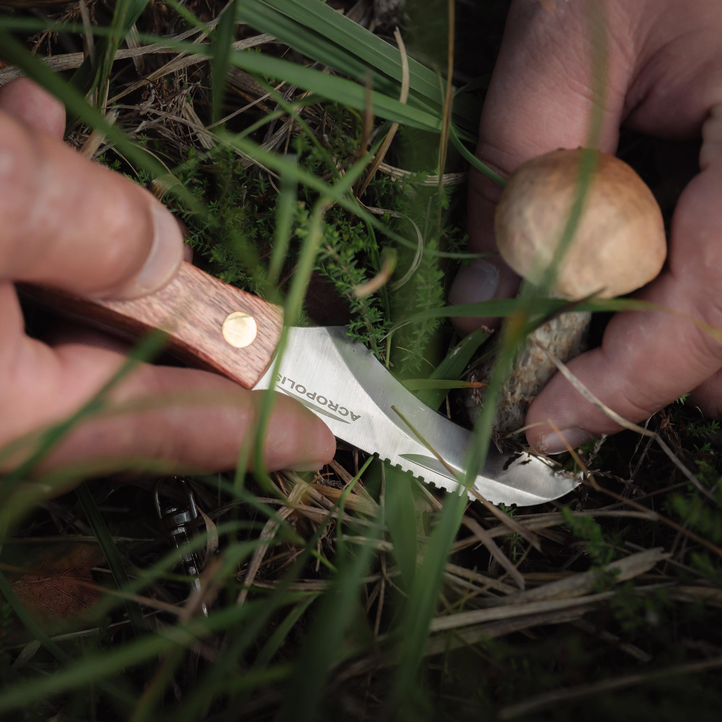 Nóż na grzyby Acropolis NG-3 z pochewką - obrazek 10