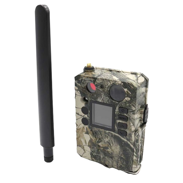 Kamera fotopułapka GSM BG310-M - obrazek 6