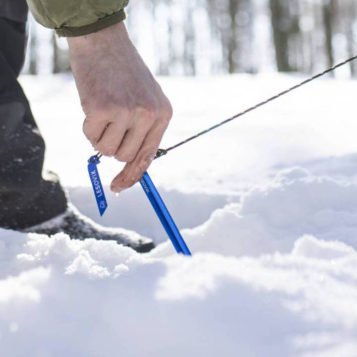 Śledź Lesovik Spig niebieski - obrazek 3