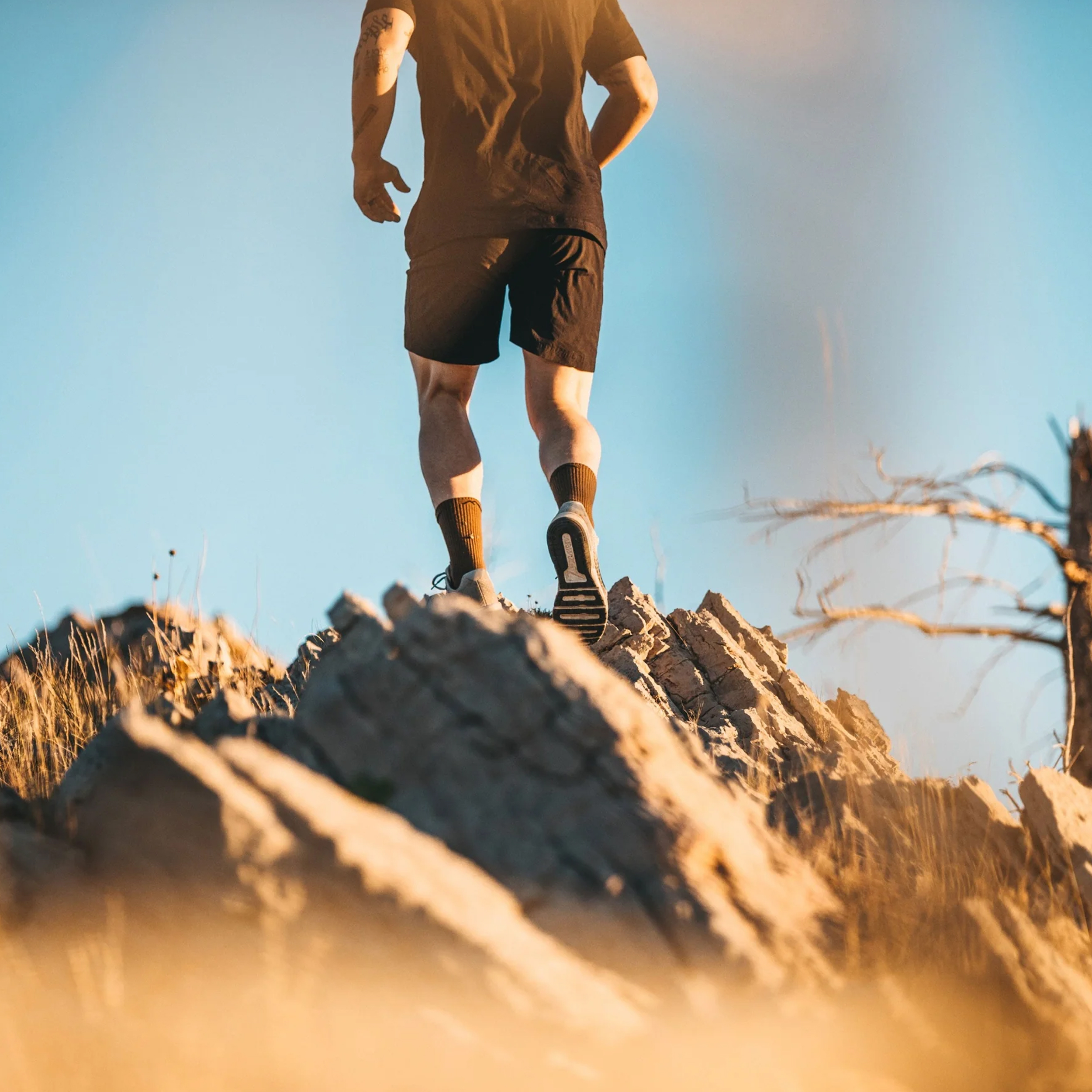 Skarpety taktyczne męskie Darn Tough #T4021 Coyote Brown 41-42.5 - obrazek 6