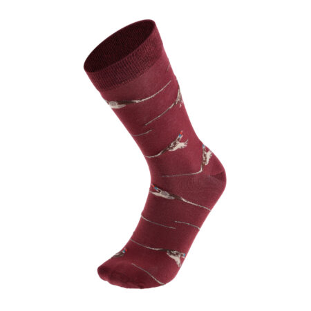 Skarpety Chevalier Pomeroy Fox Red Pheasant 43-45