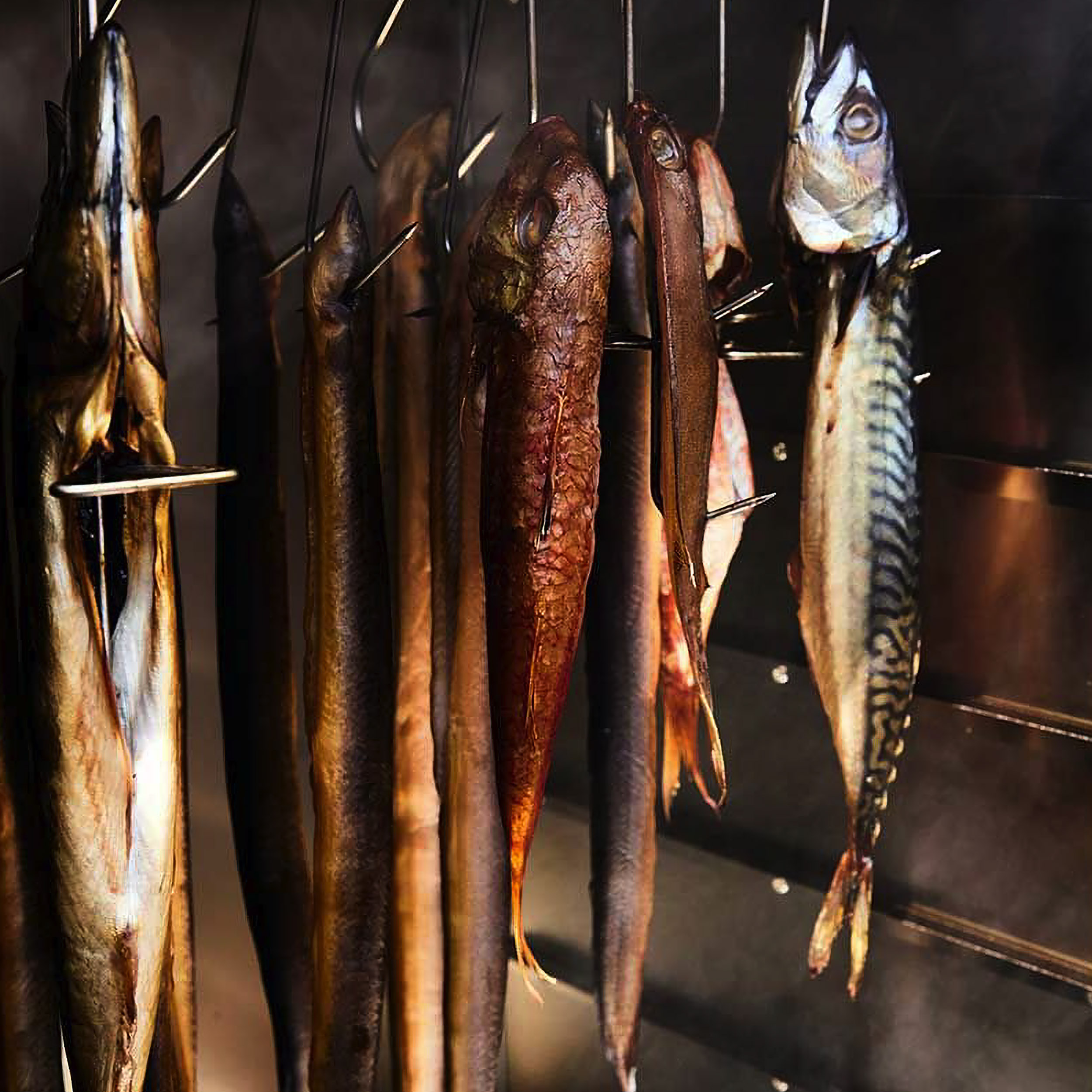 Wędzarnia Borniak 150 WiFi UWDW-150 - obrazek 4