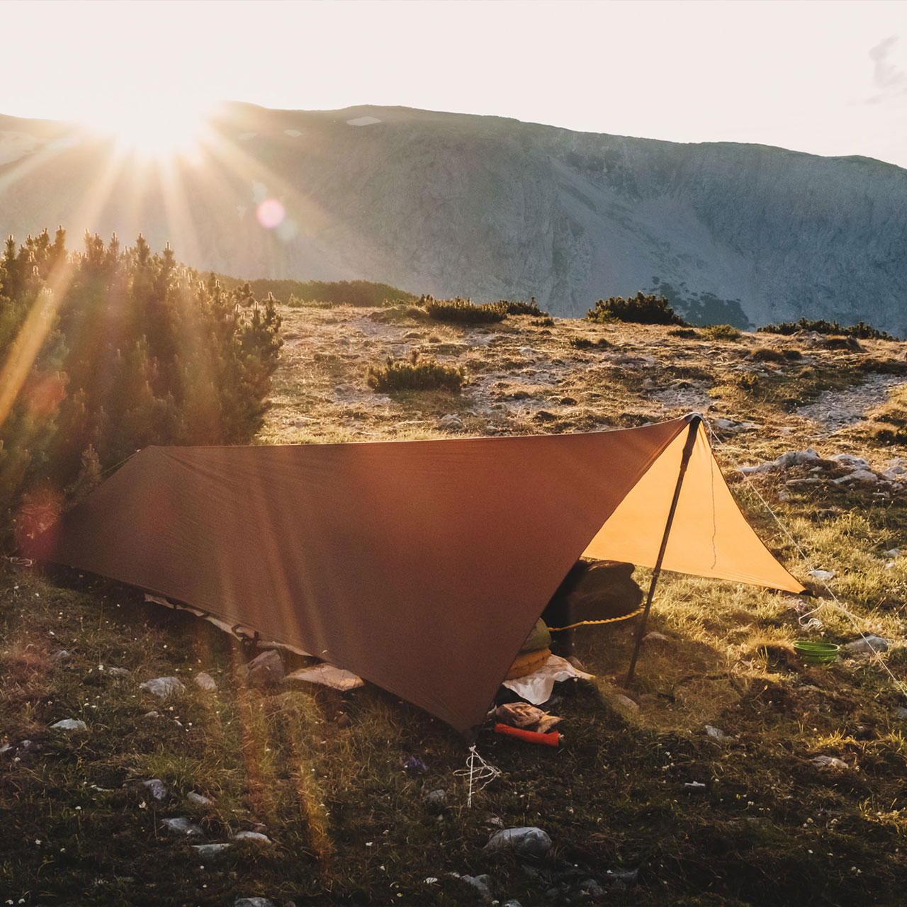 Tarp Lesovik ZMORA midnight sky - obrazek 5