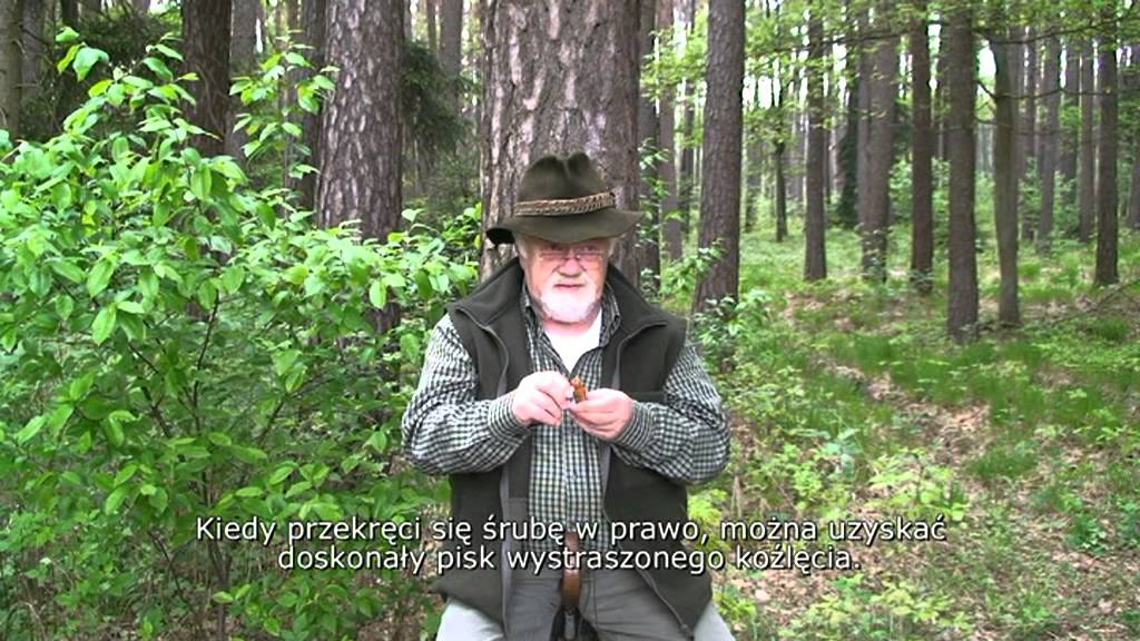 Wabik na sarny Eurohunt Weisskirchen - obrazek 3