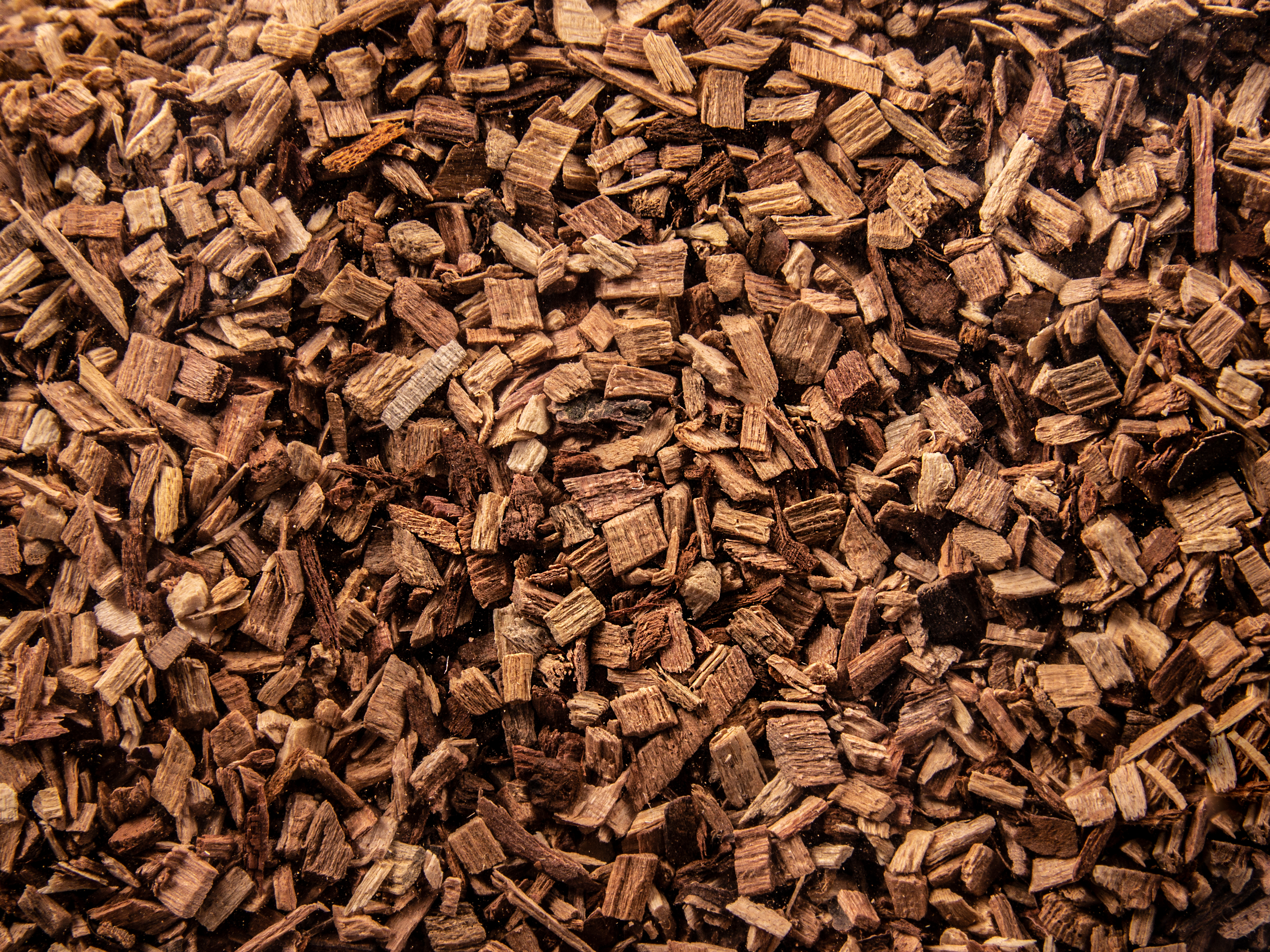 Zrębki z drewna śliwy Borniak 2L ZP-02 - obrazek 2