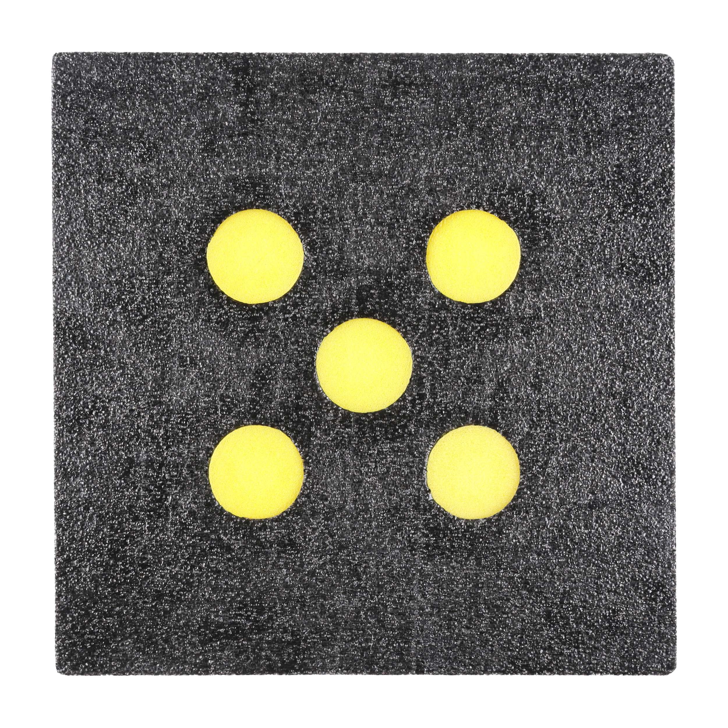 Tarcza do dmuchawek piankowa 40x40x5 cm