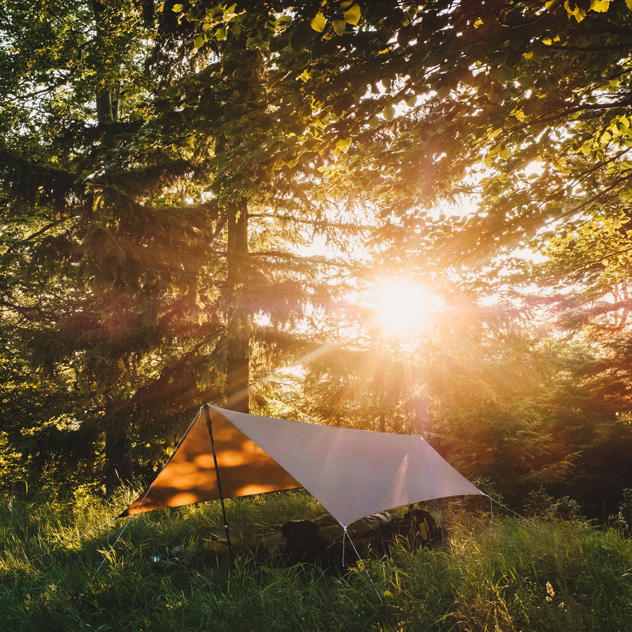 Tarp Lesovik ZMORA midnight sky - obrazek 6