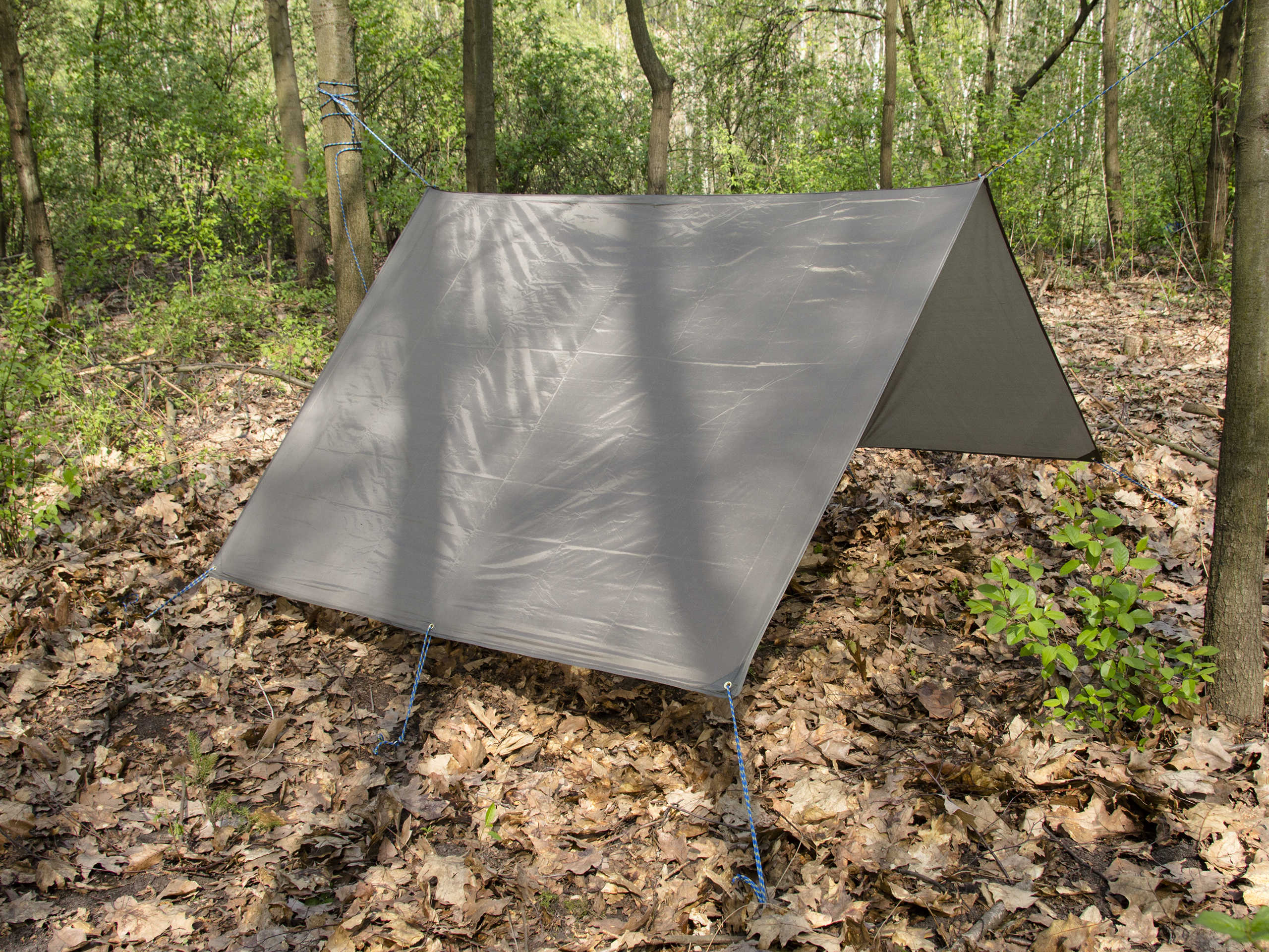 Tarp turystyczny MFH 200 x 300 cm oliwkowy - obrazek 3