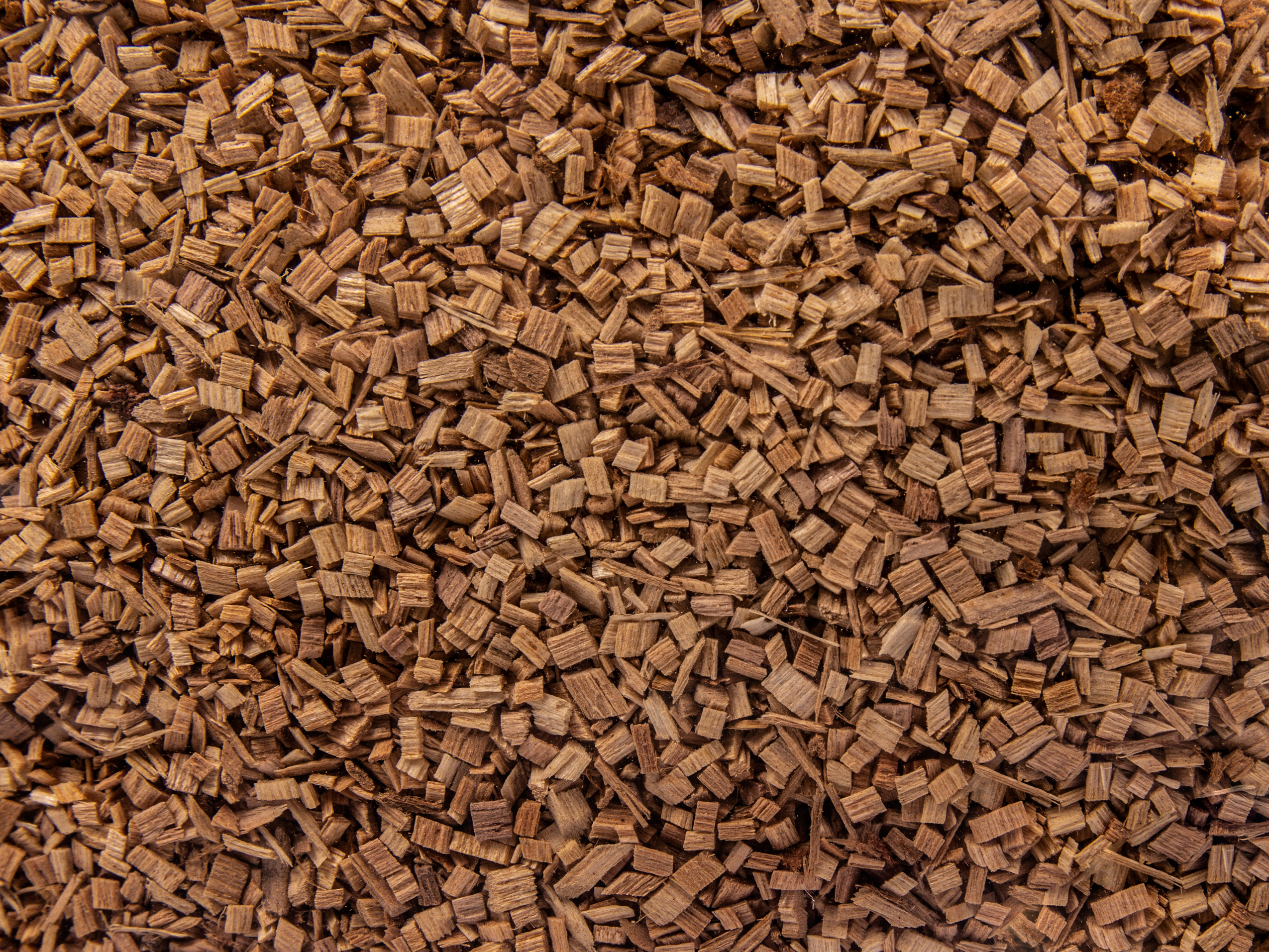 Zrębki z drewna czereśni Borniak 2L ZCH-02 - obrazek 2