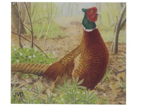 Tarcza papierowa JVD bażant 50 x 44 cm